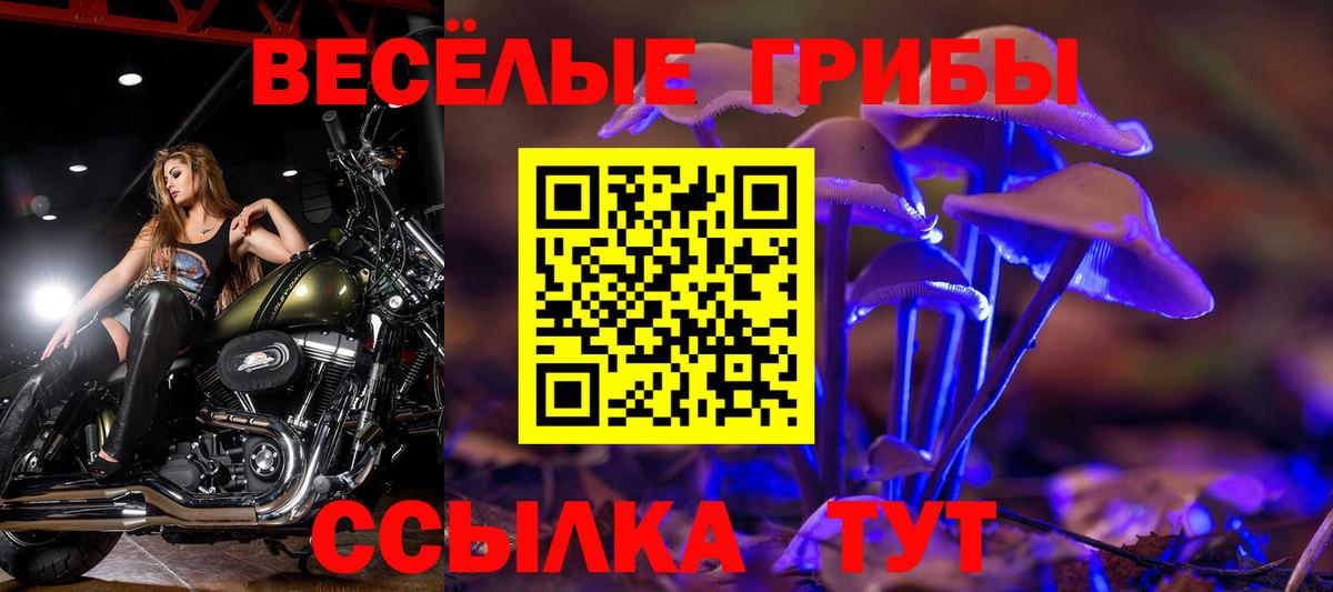 Псилоцибиновые грибы ЛСД  Вход с VPN  Саратов 