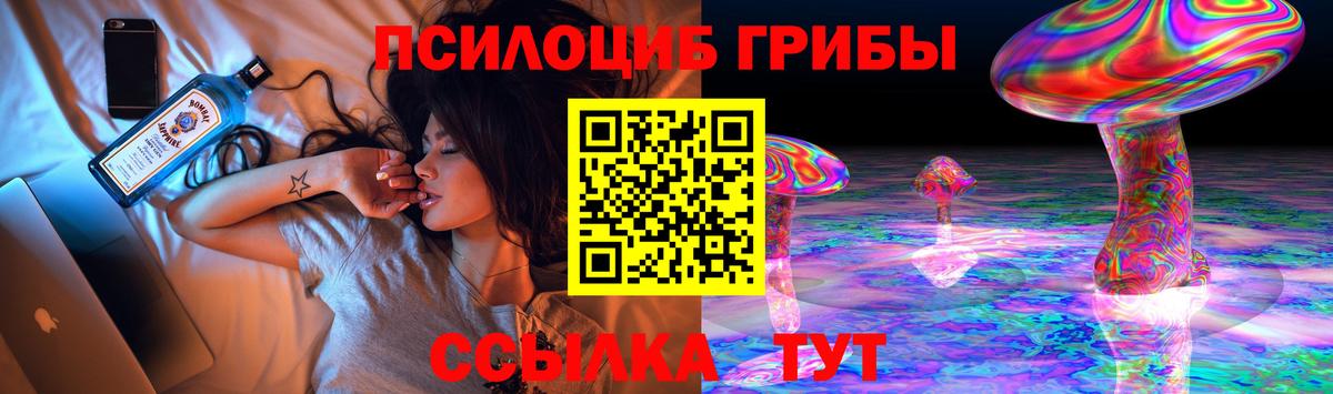 Псилоцибиновые грибы мухоморы Саратов